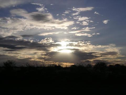s_A_PICT0367.jpg
